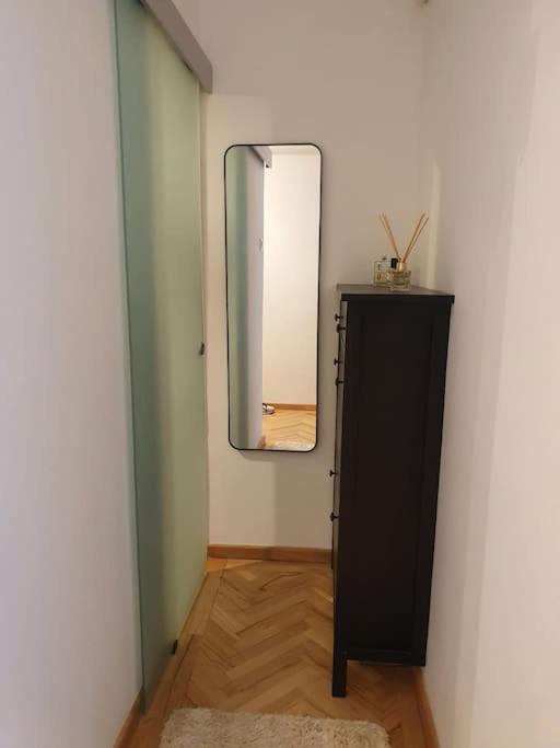 Spacious And Quiet 1Br Apartment In Floreasca Bükreş Dış mekan fotoğraf